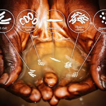 Hands cupping dirty water