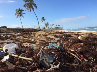 Waste caused by plastic in the ocean